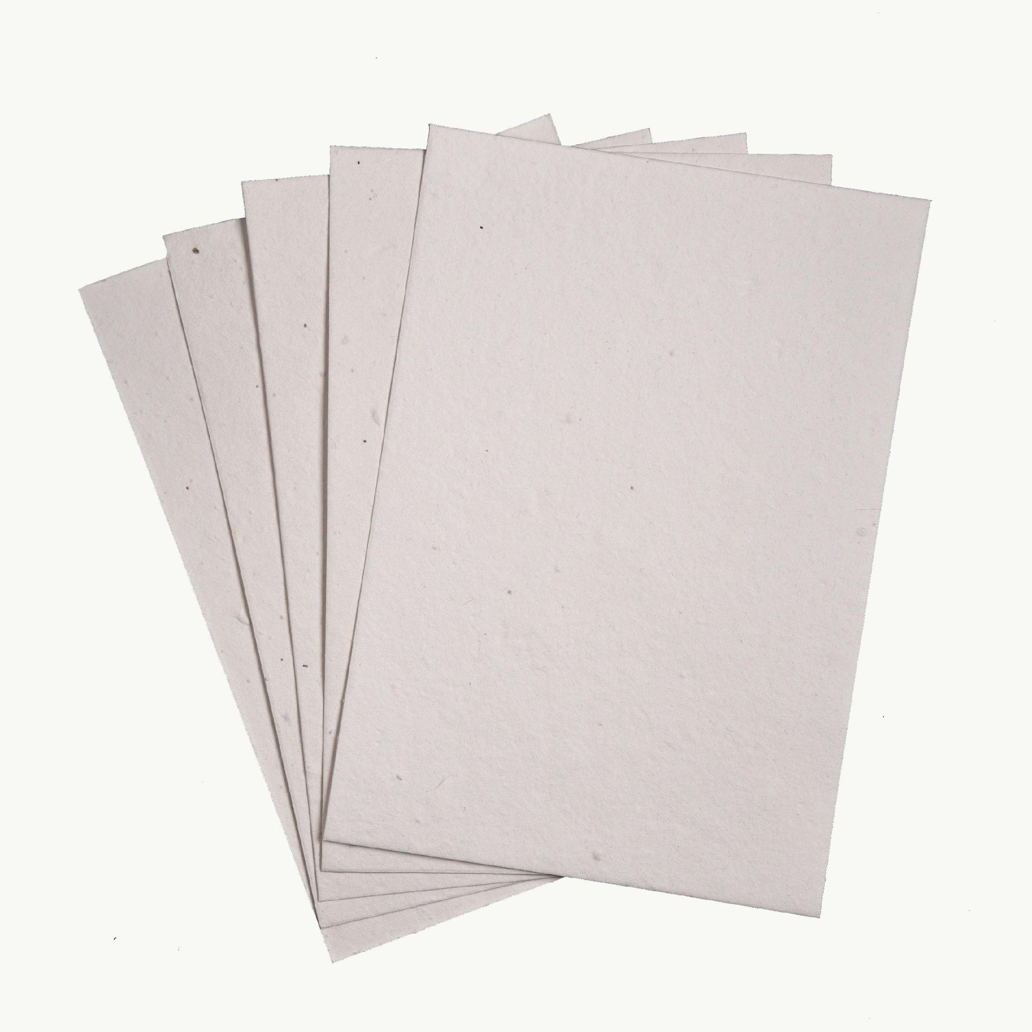 Plantable Seed Paper - Buttermilk Wildflower – plantableseedpaper