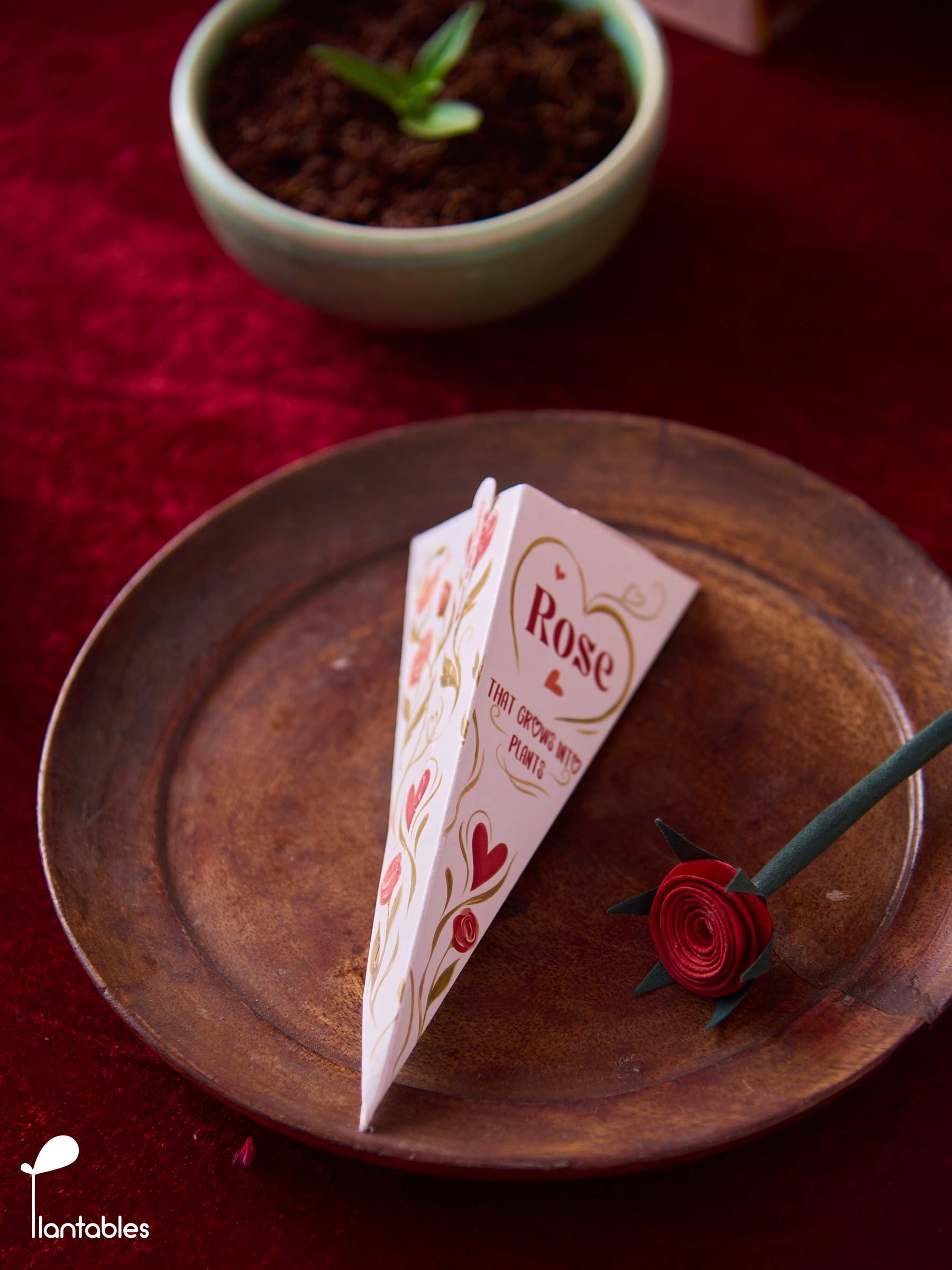 Plantable Rose in a Box