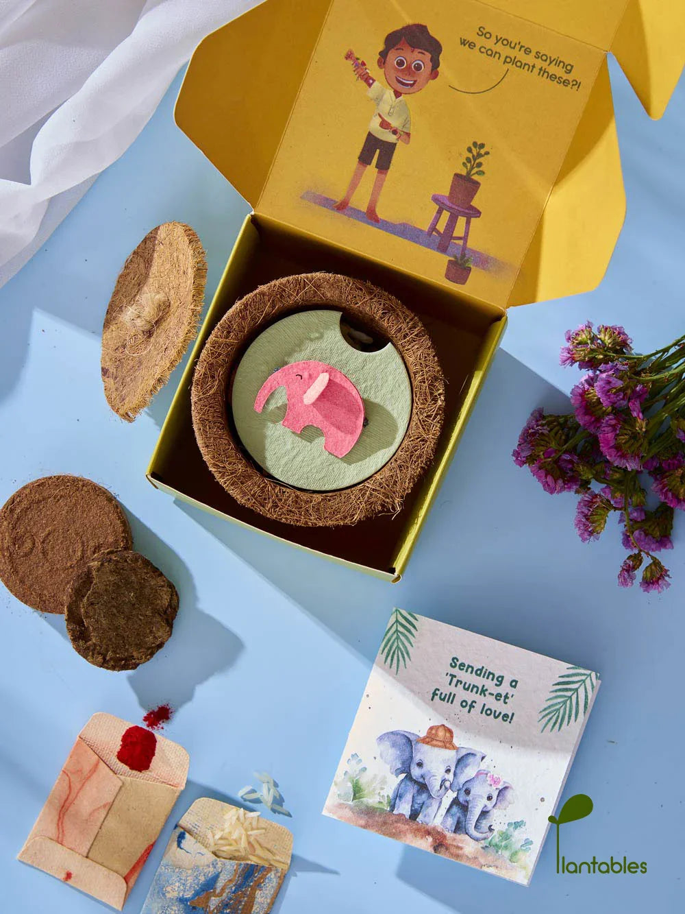Ellie Belly Rakhi Planting Kit