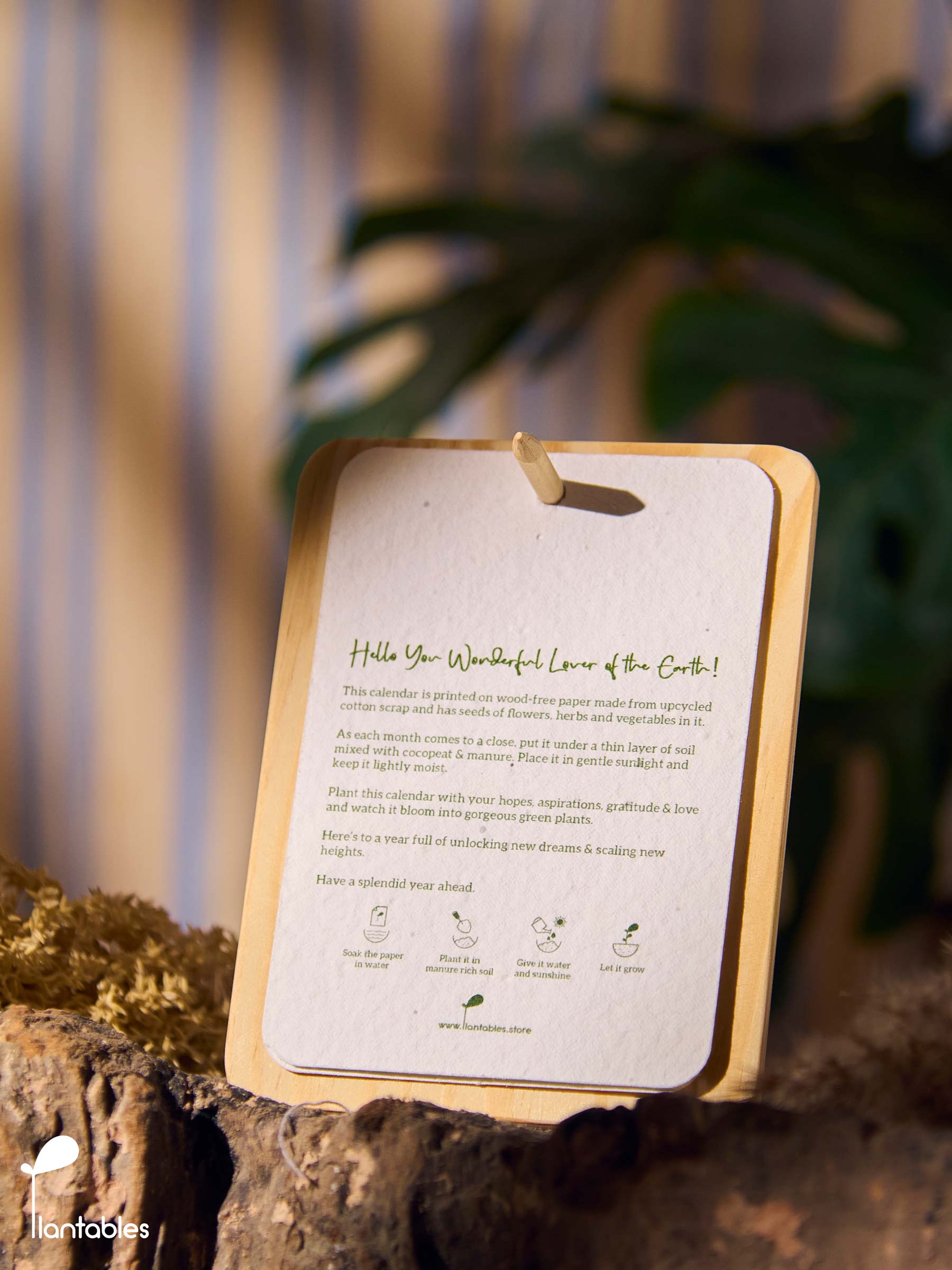 Planet Positive Calendar 2026