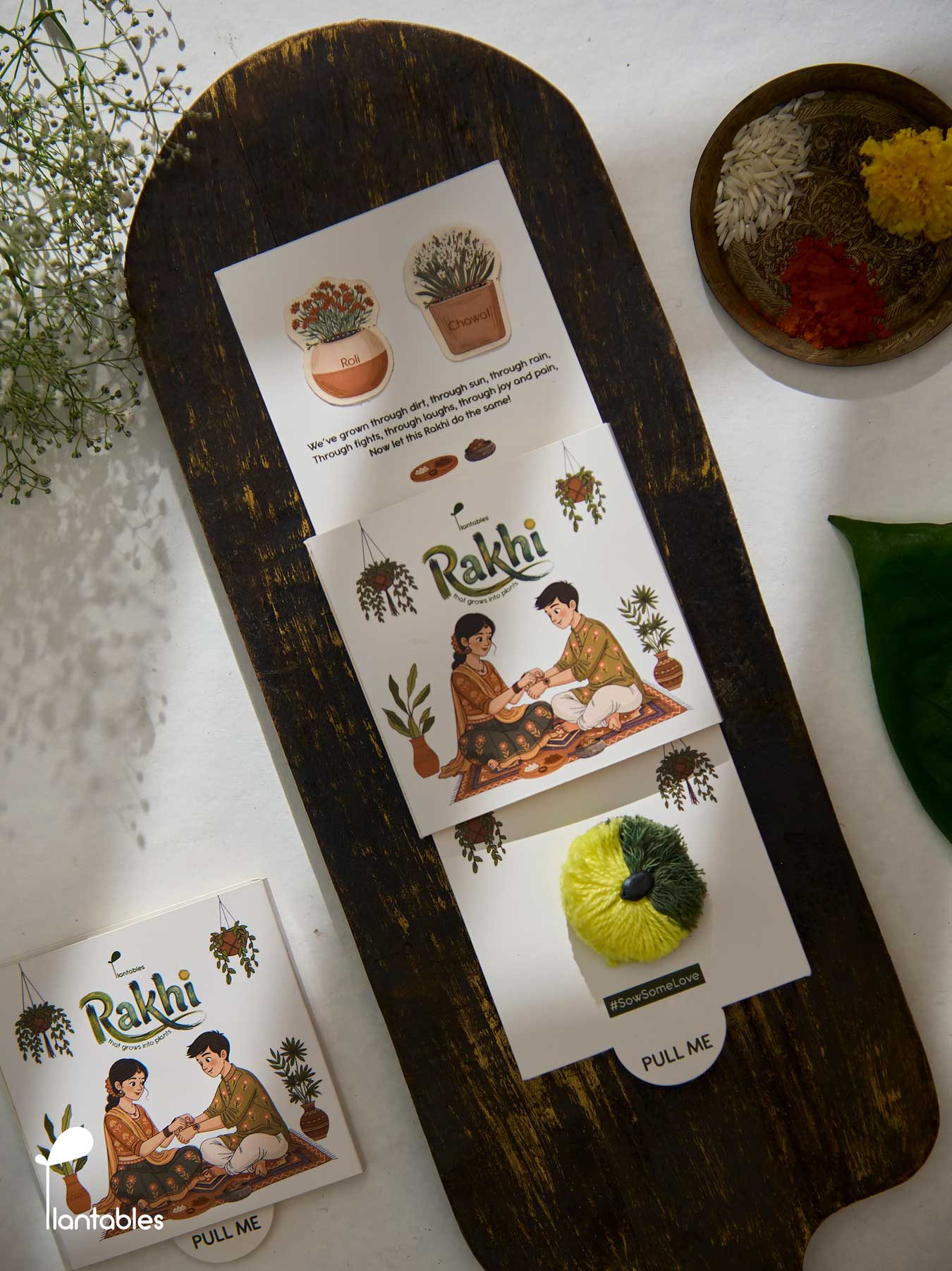 Earthline Rakhi, two-tone green cotton pompom rakhi with plantable seed paper centre