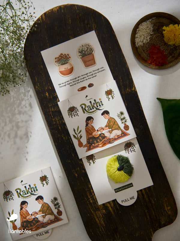 Earthline Rakhi, two-tone green cotton pompom rakhi with plantable seed paper centre