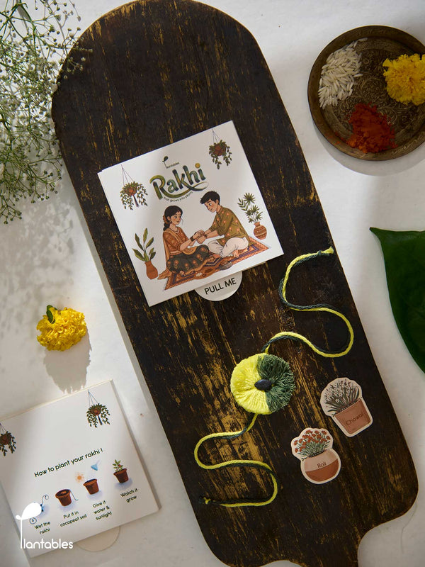 Earthline Rakhi, two-tone green cotton pompom rakhi with plantable seed paper centre