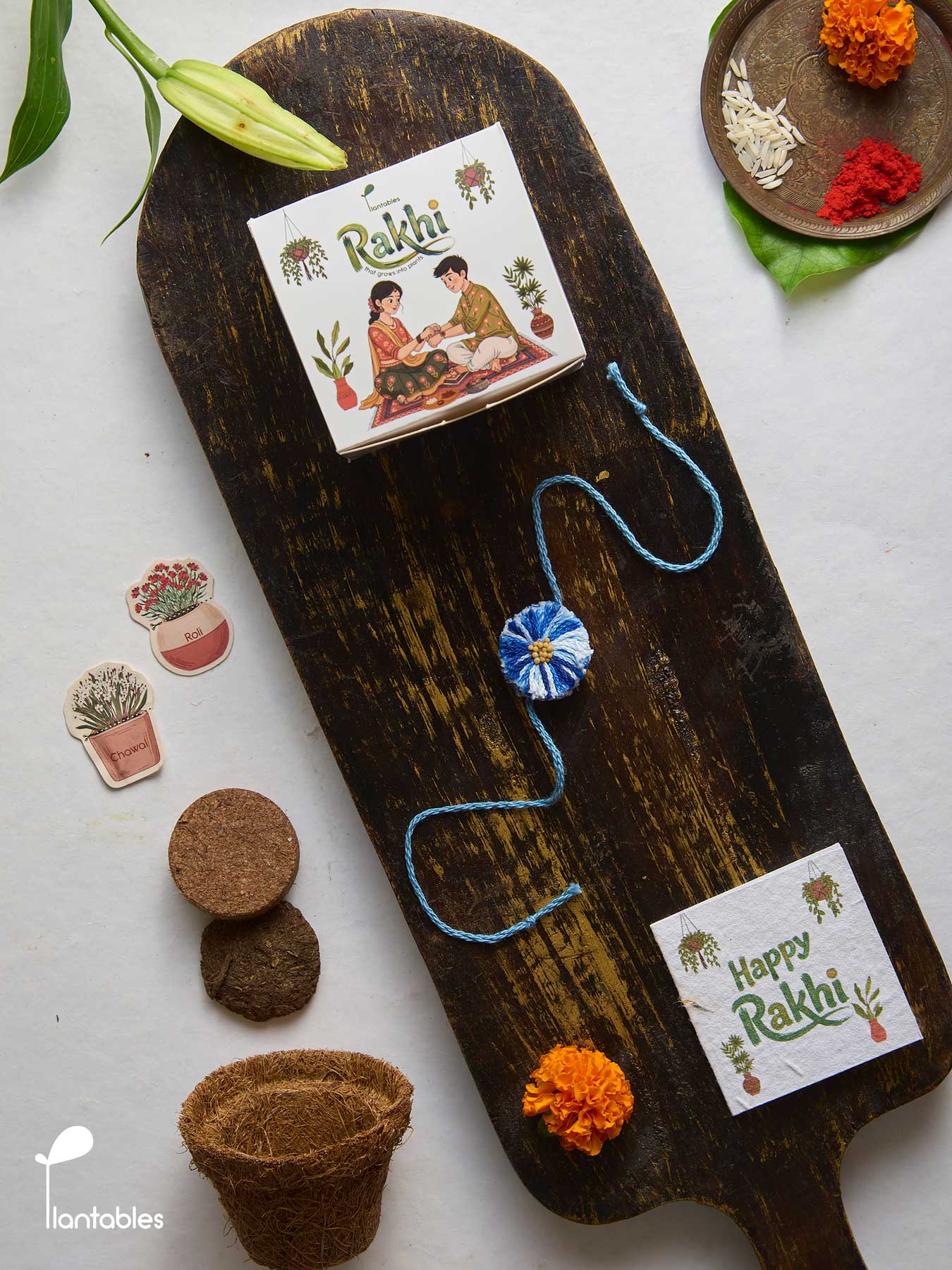 Evil Eye Thread Rakhi Planting Kit with seed paper greeting card, roli chawal pockets and coir pot