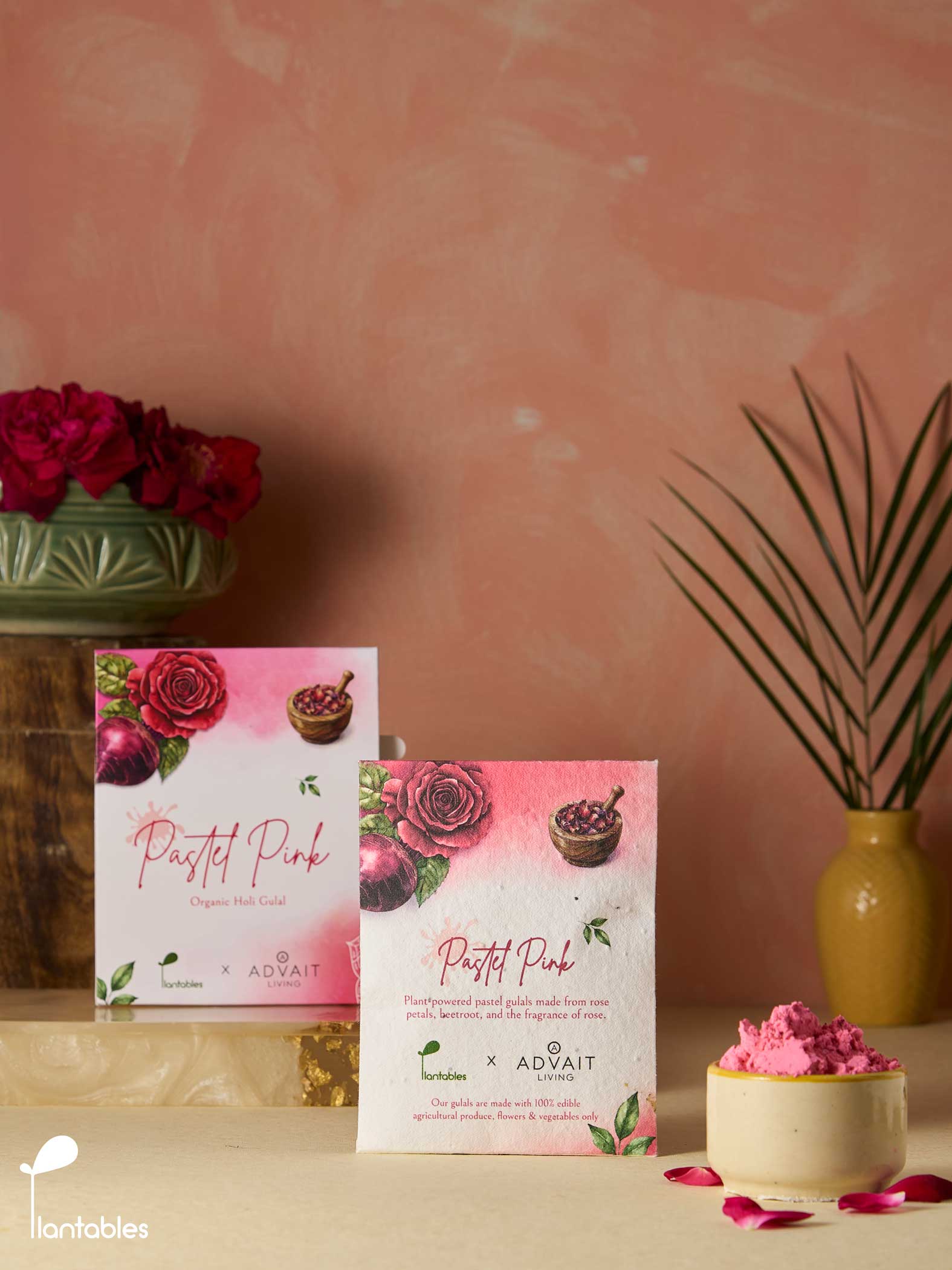 Rangrez | Pastel Pink Gulal