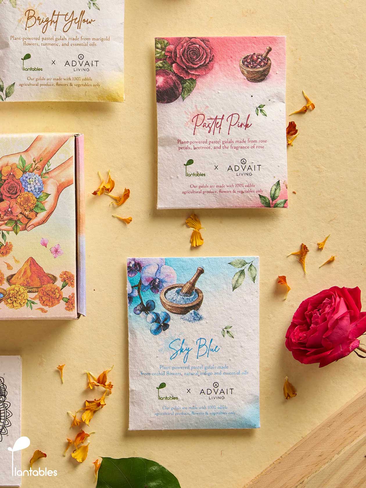 Rangrez Holi Art Kit | Organic Gulals & Plantable Postcards