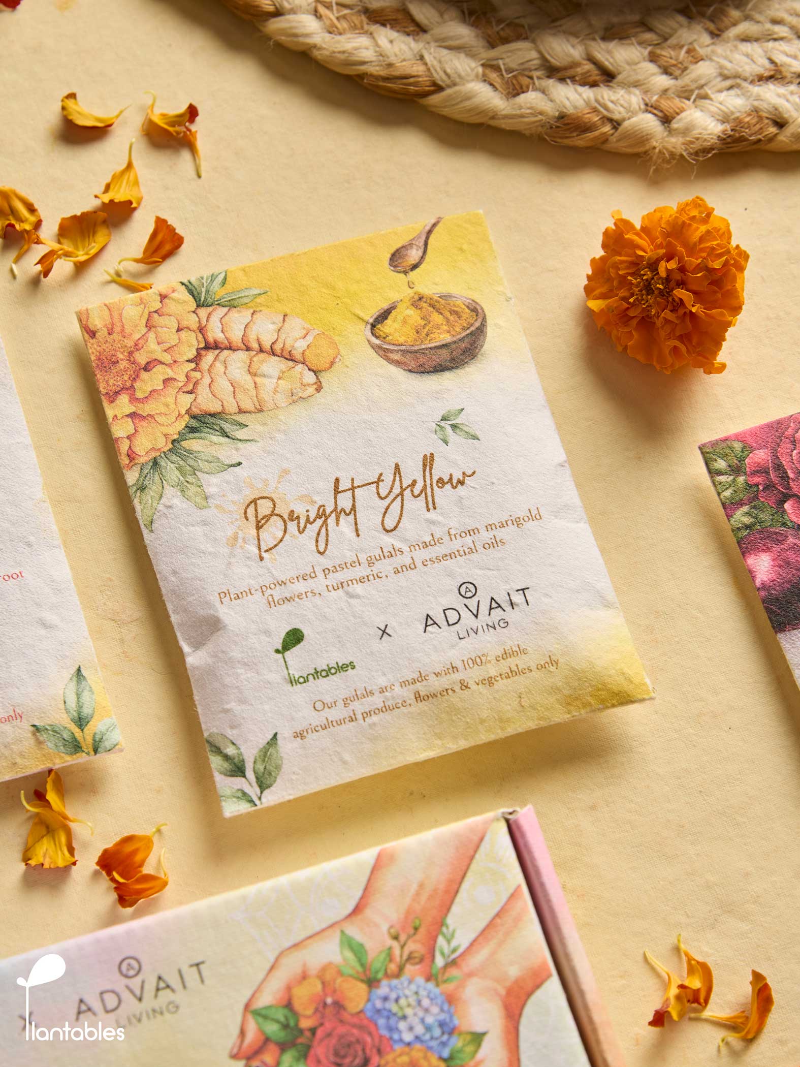 Rangrez Holi Art Kit | Organic Gulals & Plantable Postcards