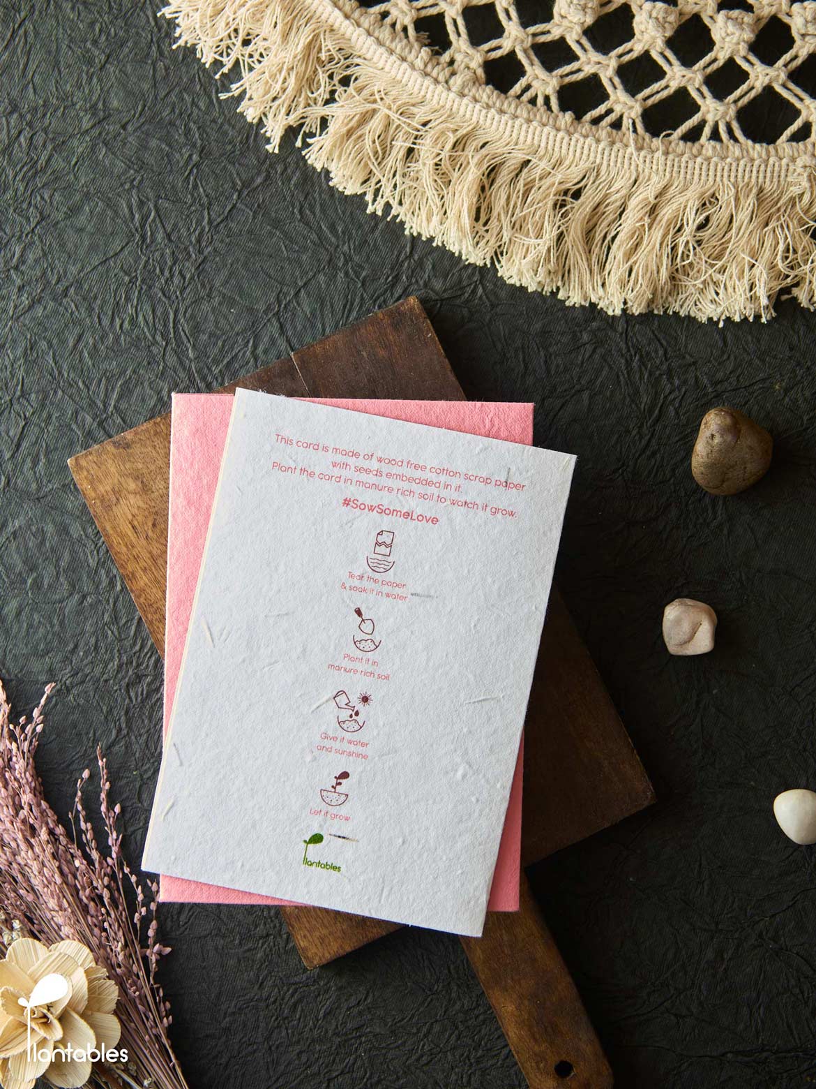 Golden Hour Love Card