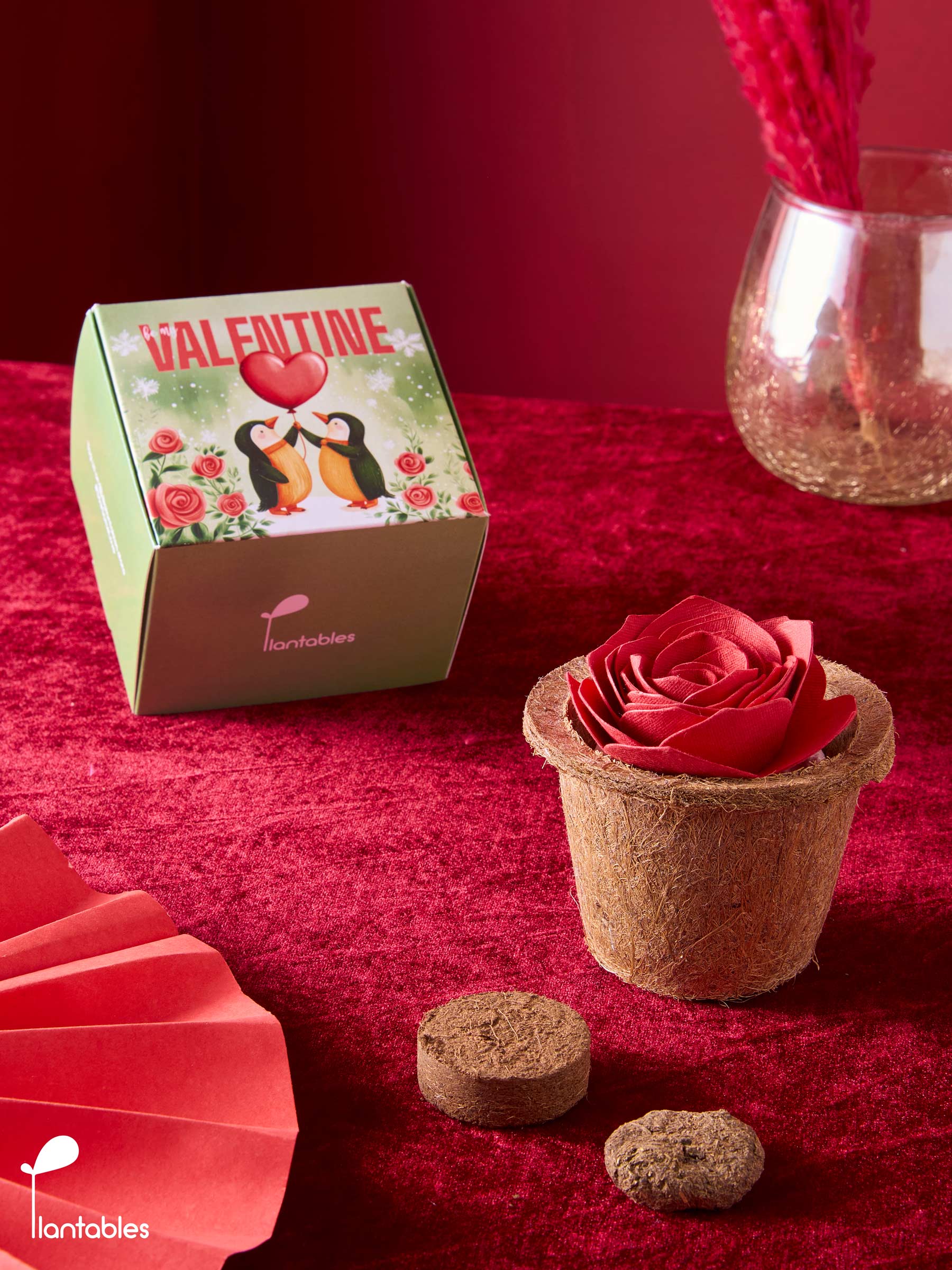Penguin Love Plantable Rose Grow Kit