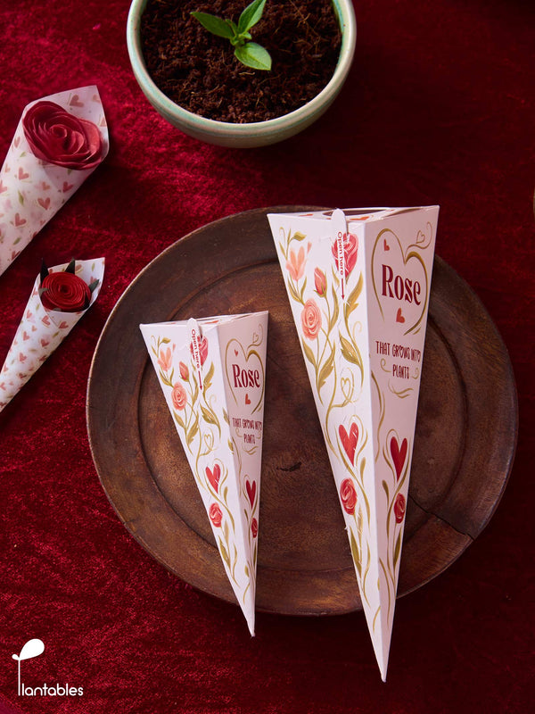 Plantable Rose in a Box