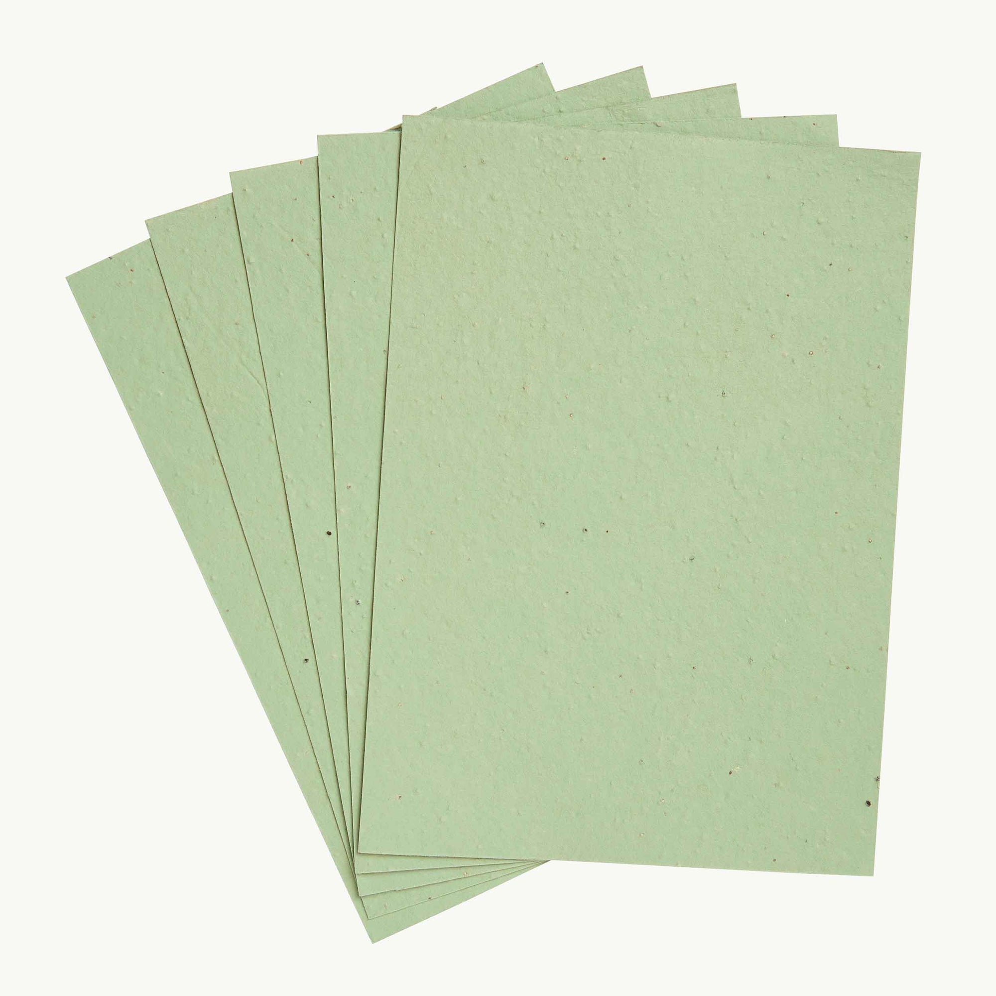Olive green mixed wildflower seed paper that grows into a plant