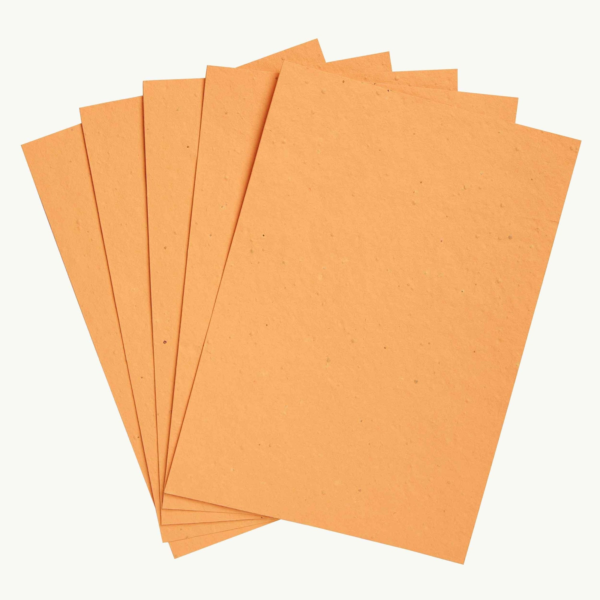 Orange Mixed Wildflowers Seed Paper