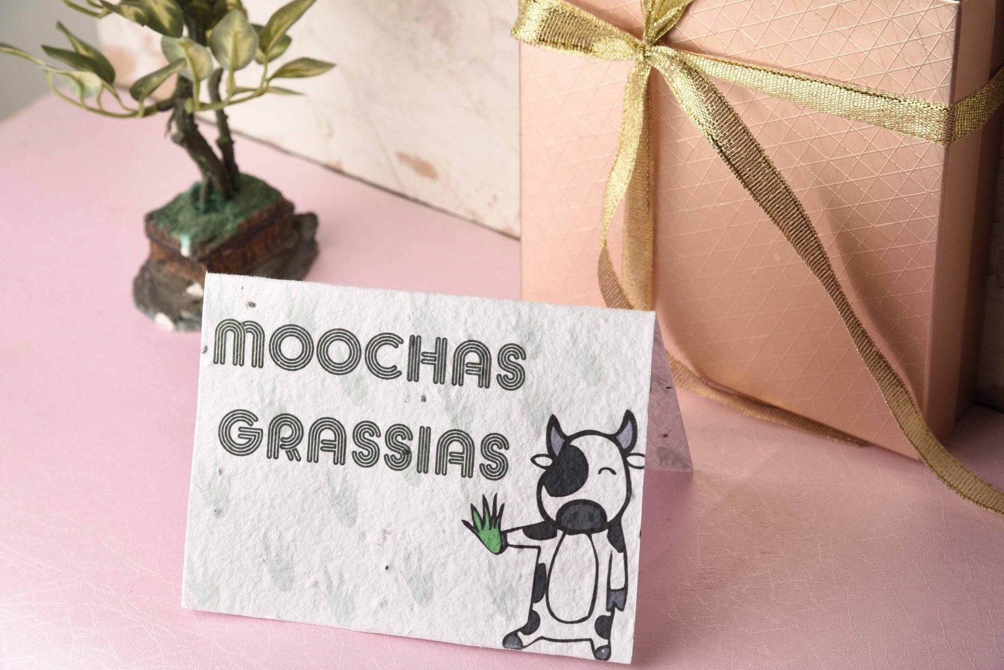  A beautiful greeting card with Moochas Grassias art